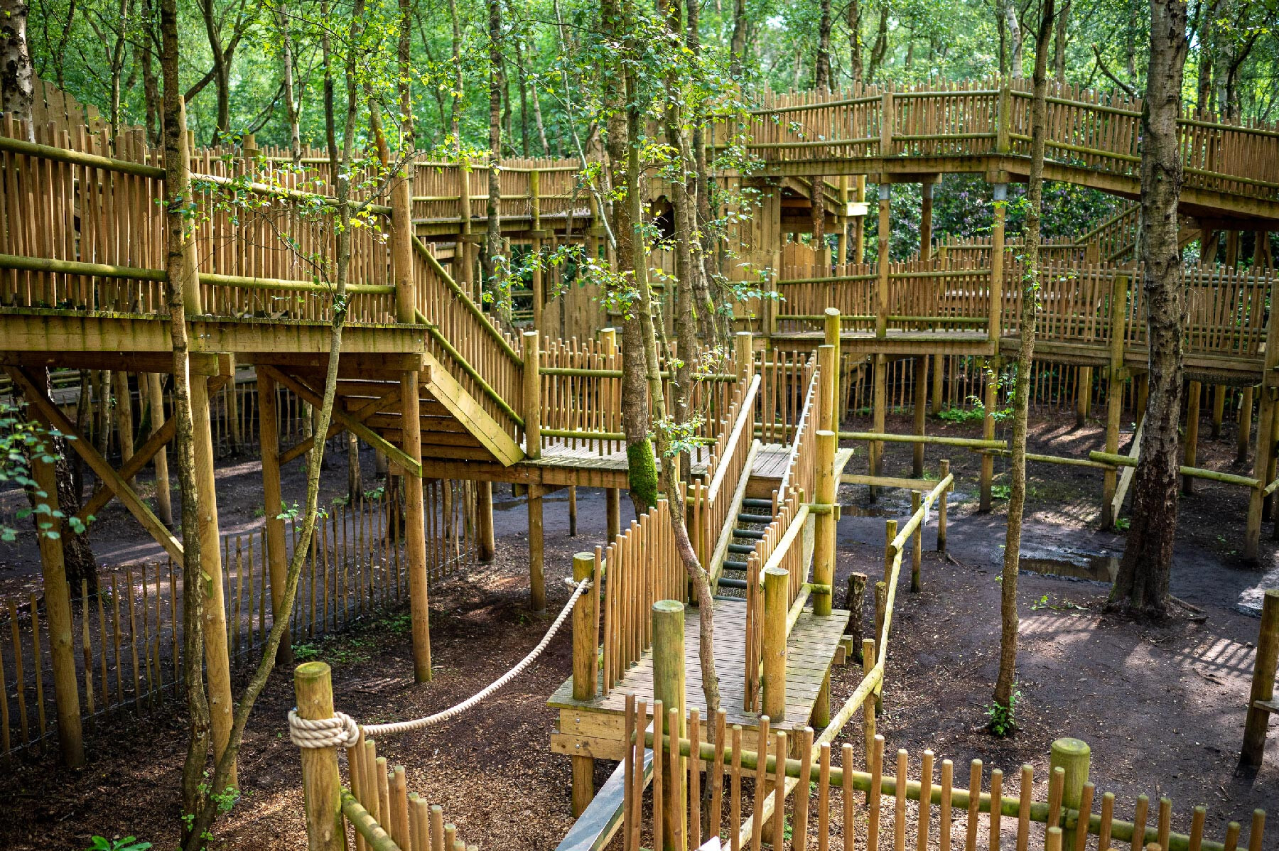 The Sky Maze at BeWILDerwood