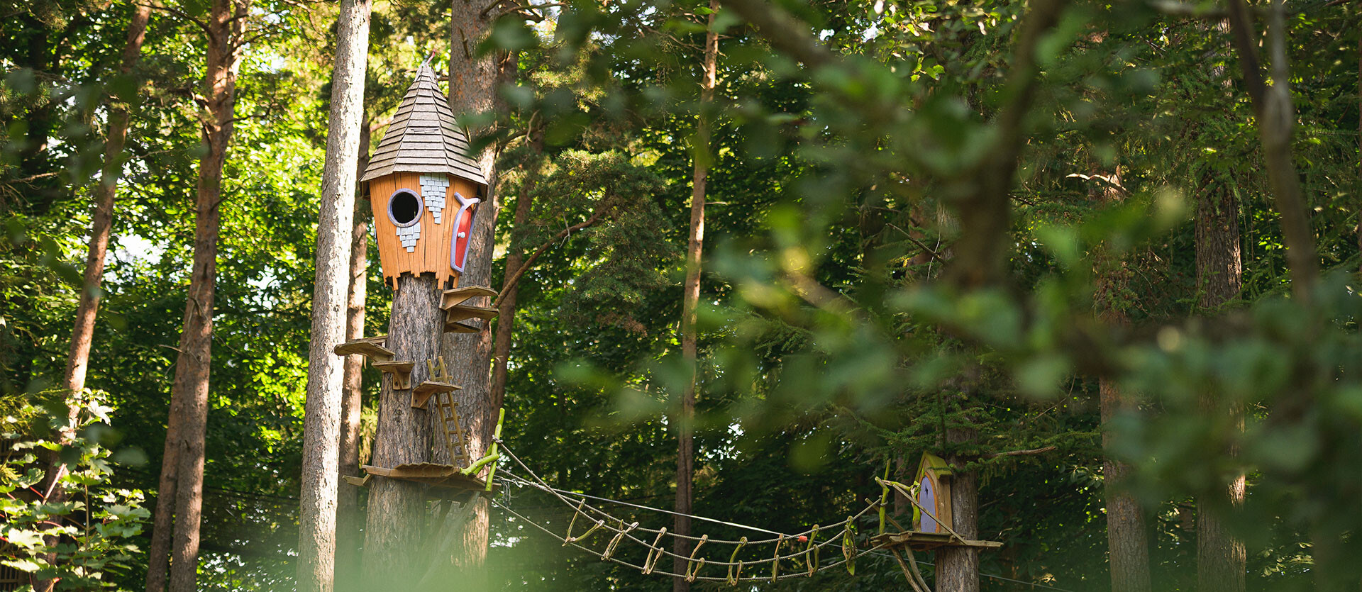 A wooden Twiggle house in the trees at BeWILDerwood