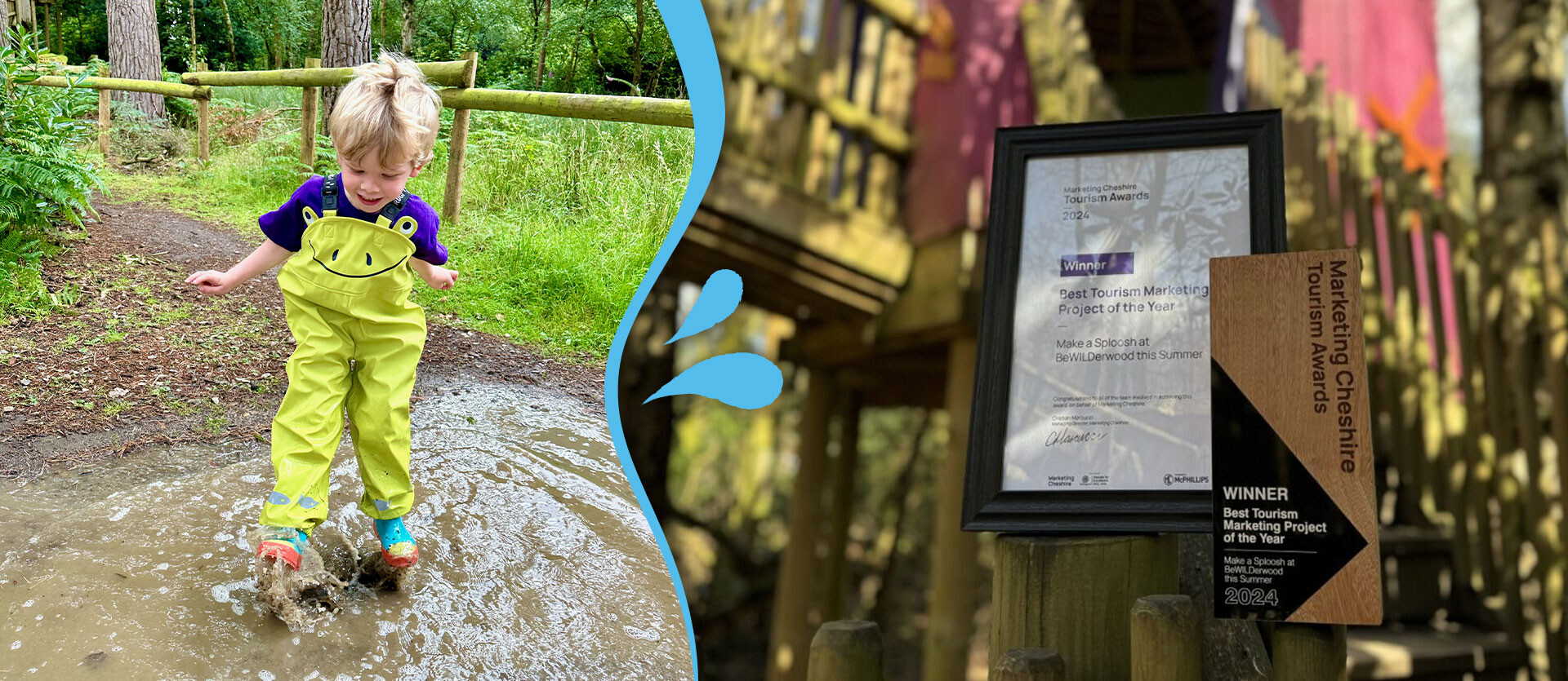 BeWILDerwood Cheshire wins Best Tourism Marketing Project of the Year 2024