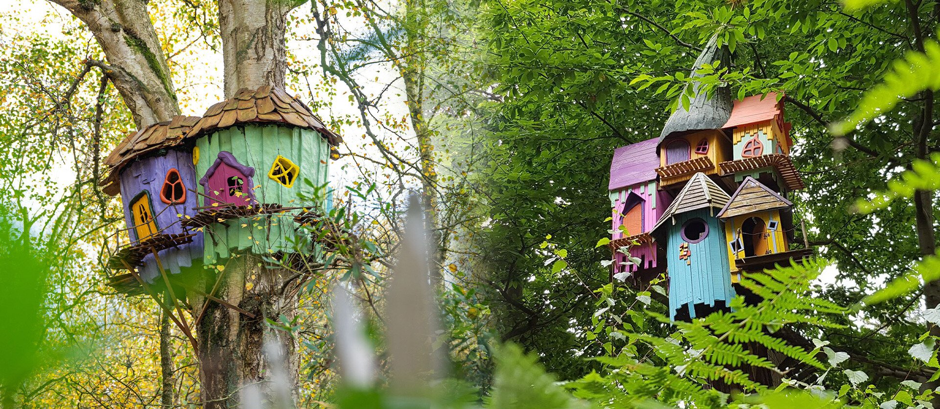 Twiggle houses in the trees at BeWILDerwood