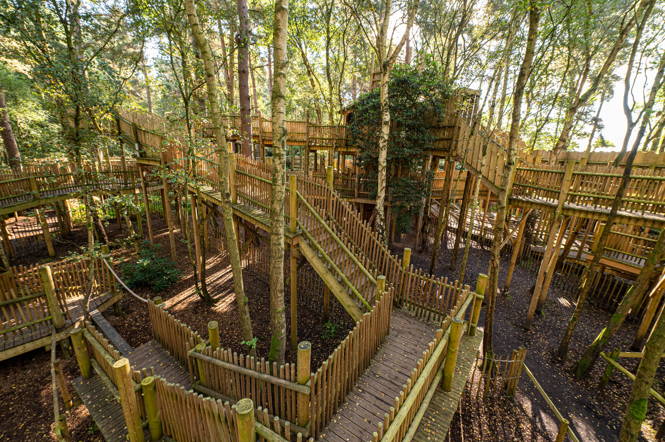 Wooden structure of a maze at bewilderwood