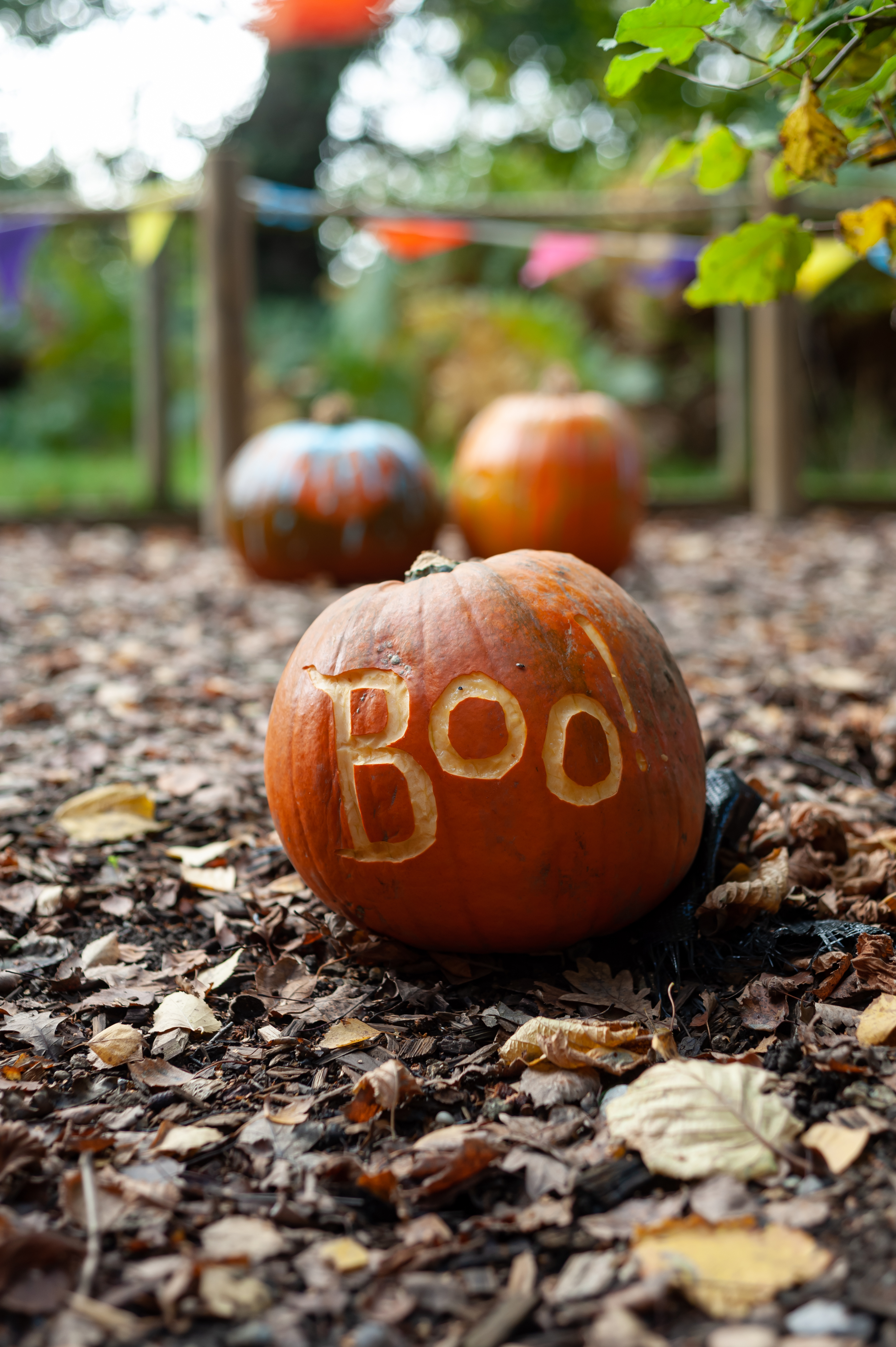 Boo Pumpkin
