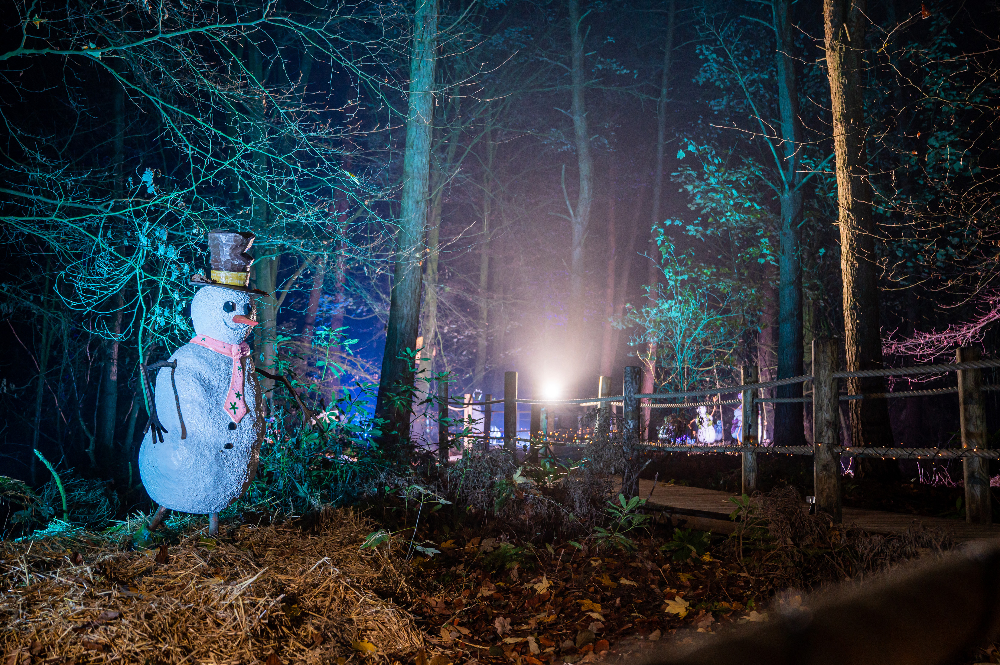 Snowman on the left and a wooden walkway into a woodland at night
