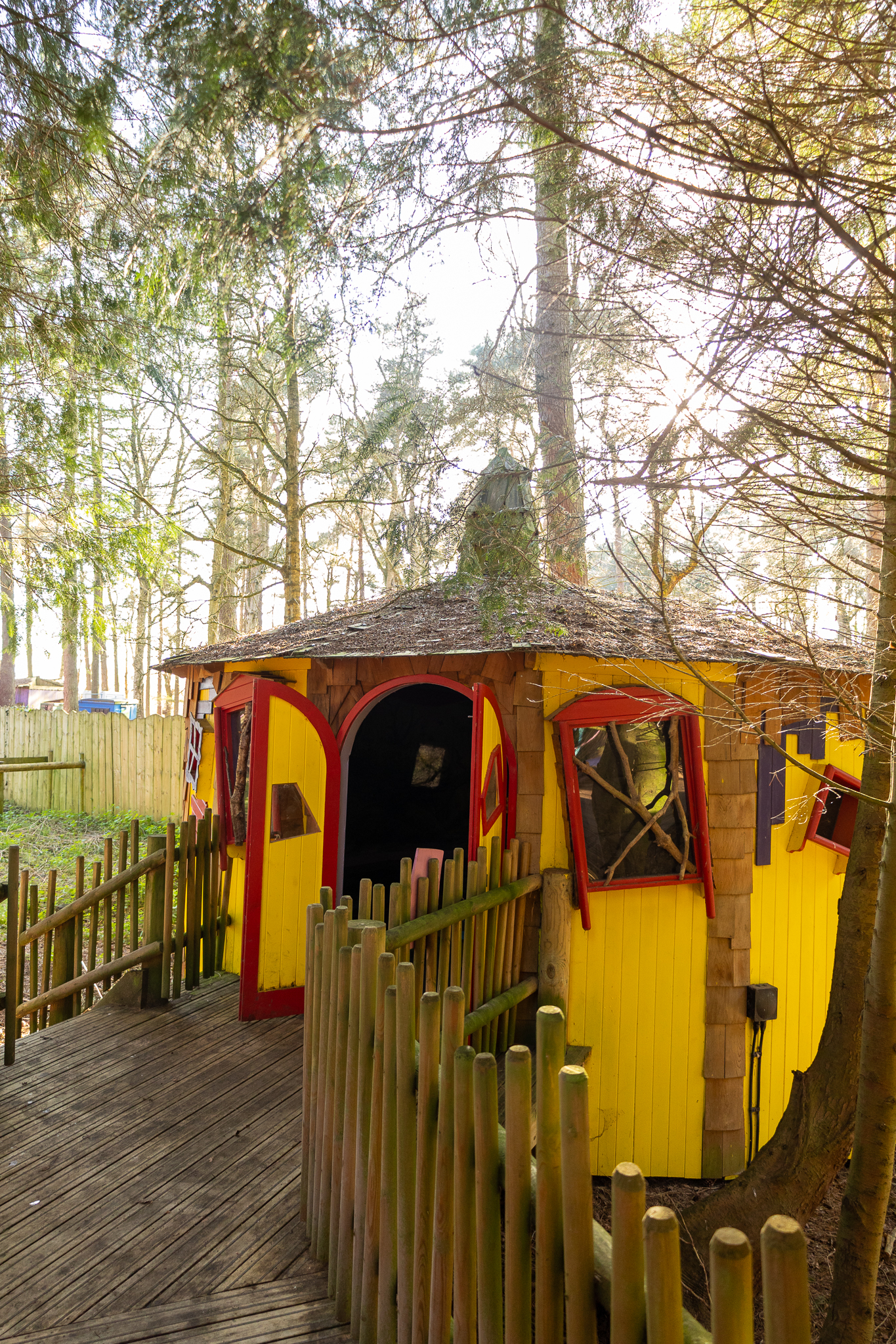 Bright yellow colourful house surrounded by woodland trees at Bewilderwood