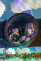 In the bubble window at Minty Land