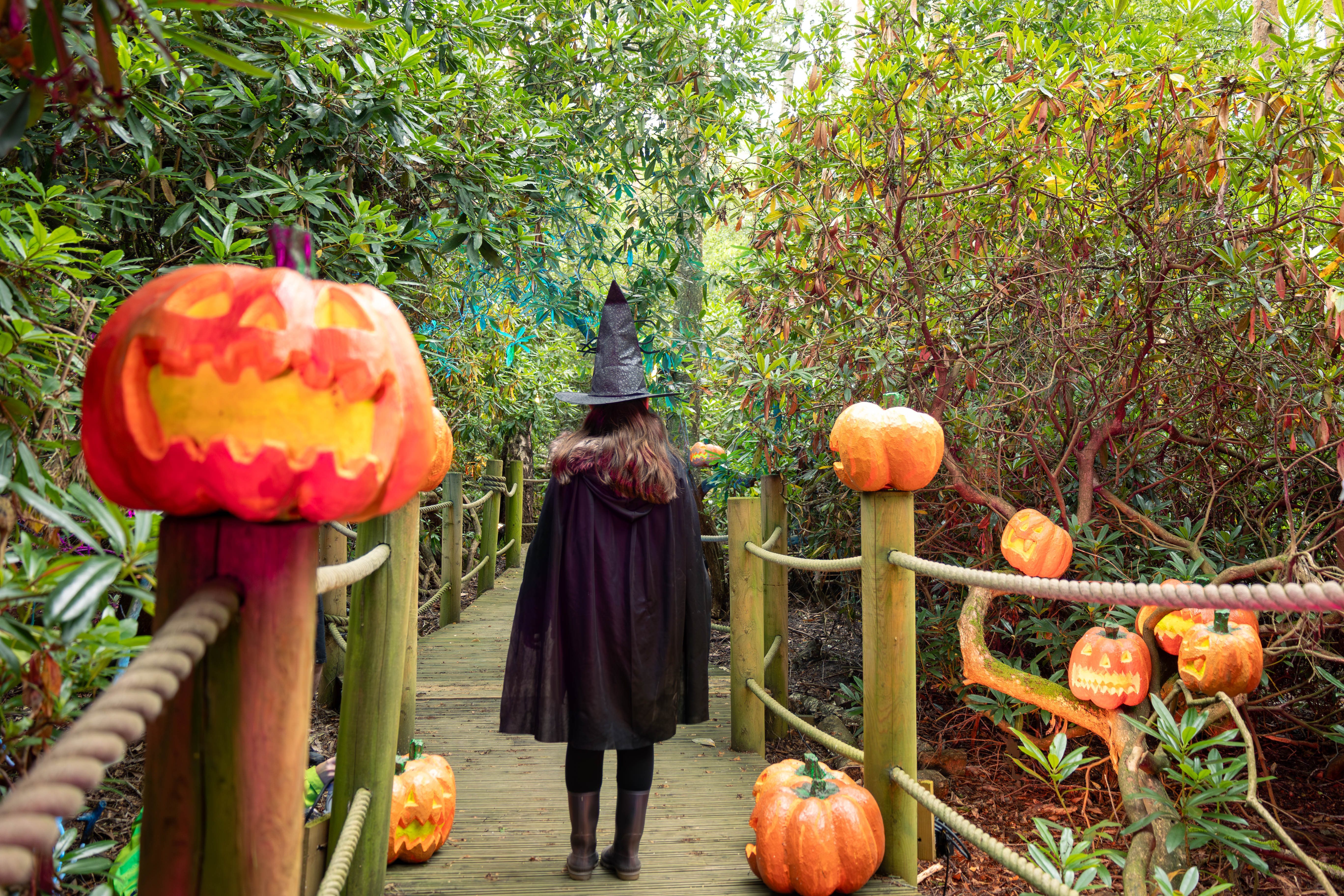 Girl in witch costume