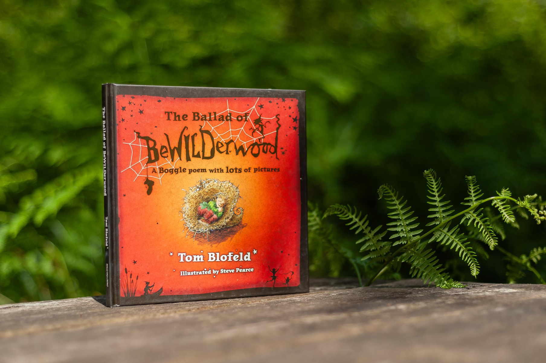 The Ballad of BeWILDerwood book by Tom Blofeld