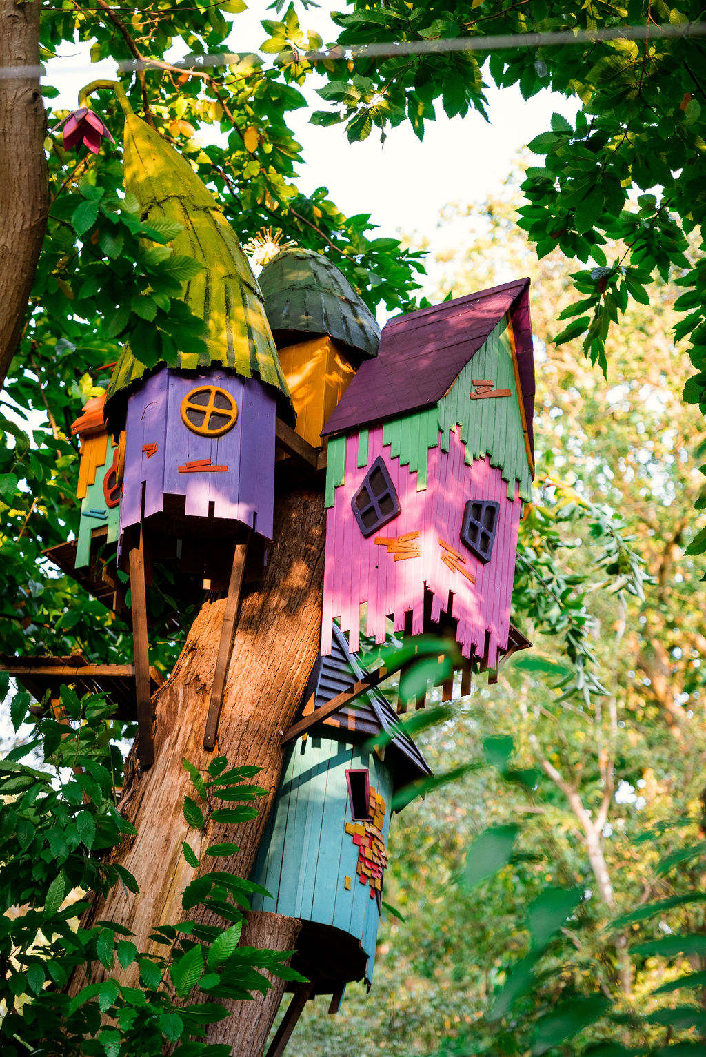 Wooden colourful treehouses at bewilderwood