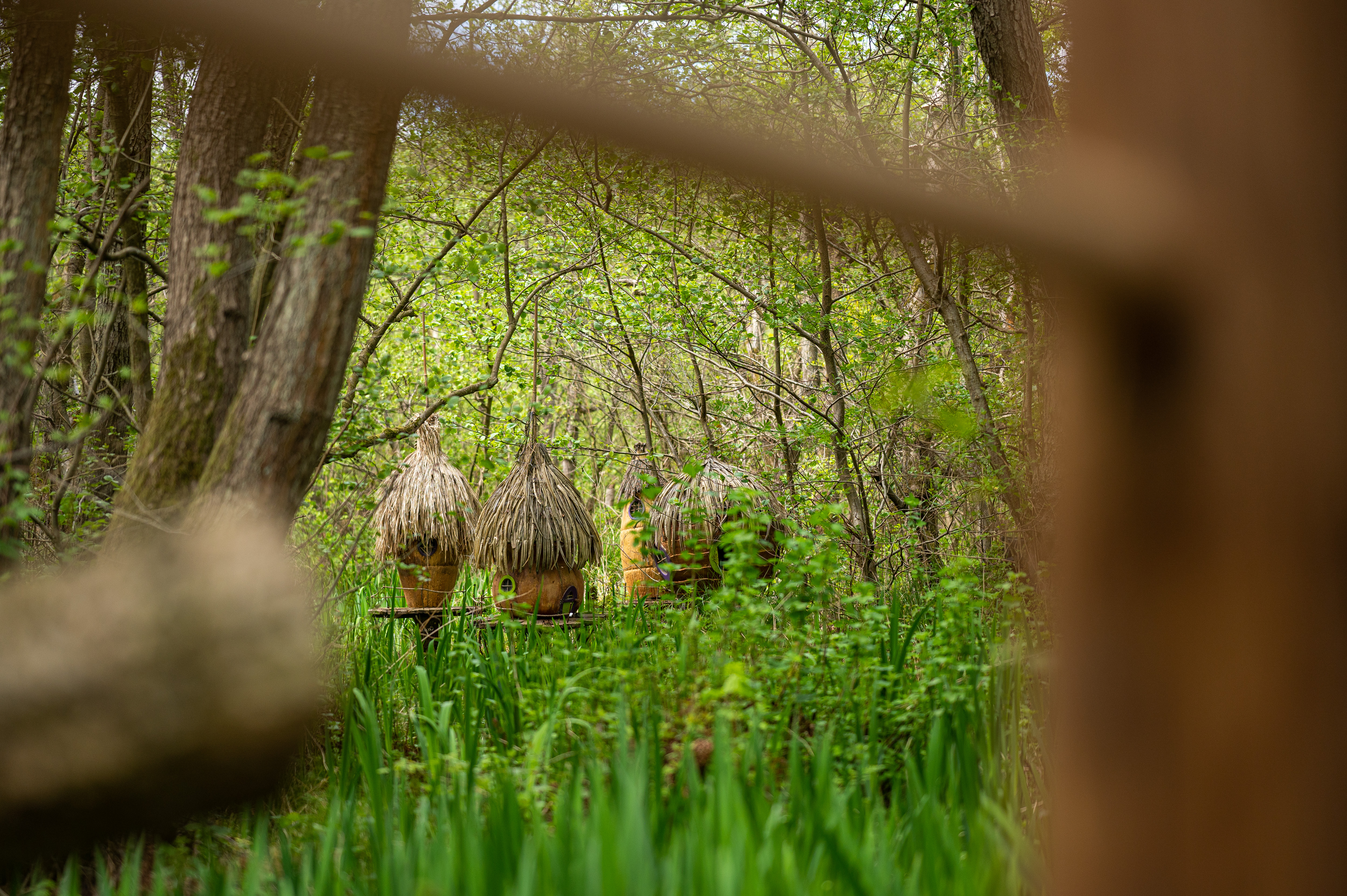 3 Boggle houses at Bewilderwood with lots of greenery around them