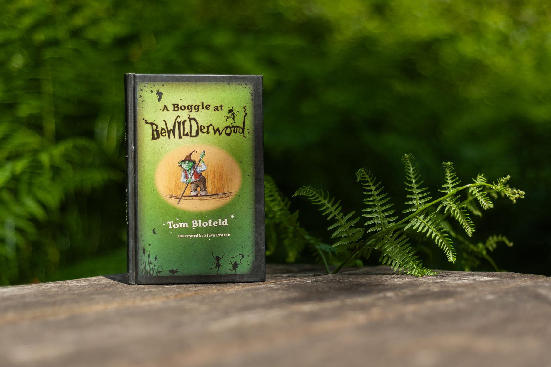 A Boggle at BeWILDerwood book by Tom Blofeld