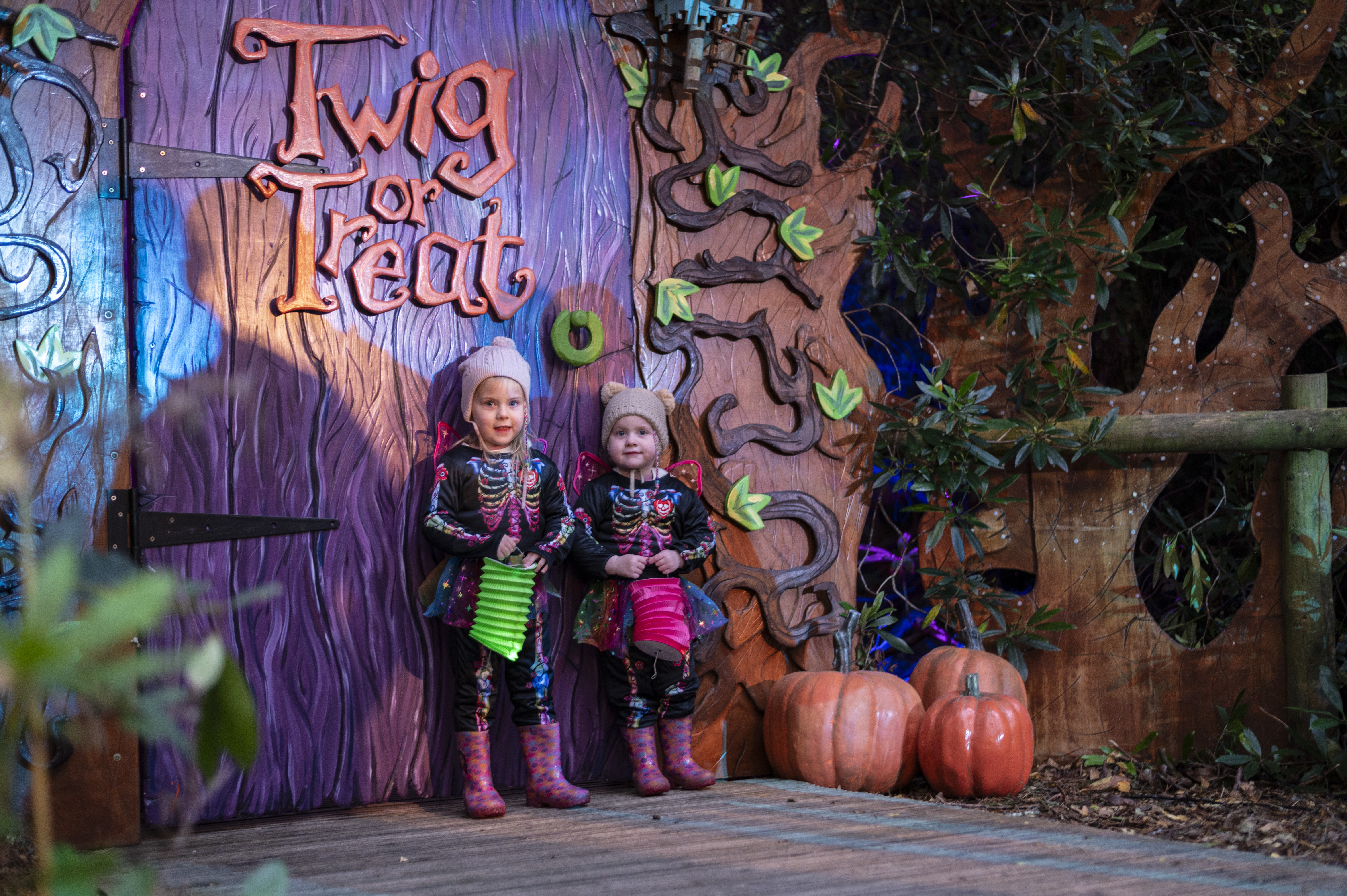 Bewilderwood Twig Or Treat 