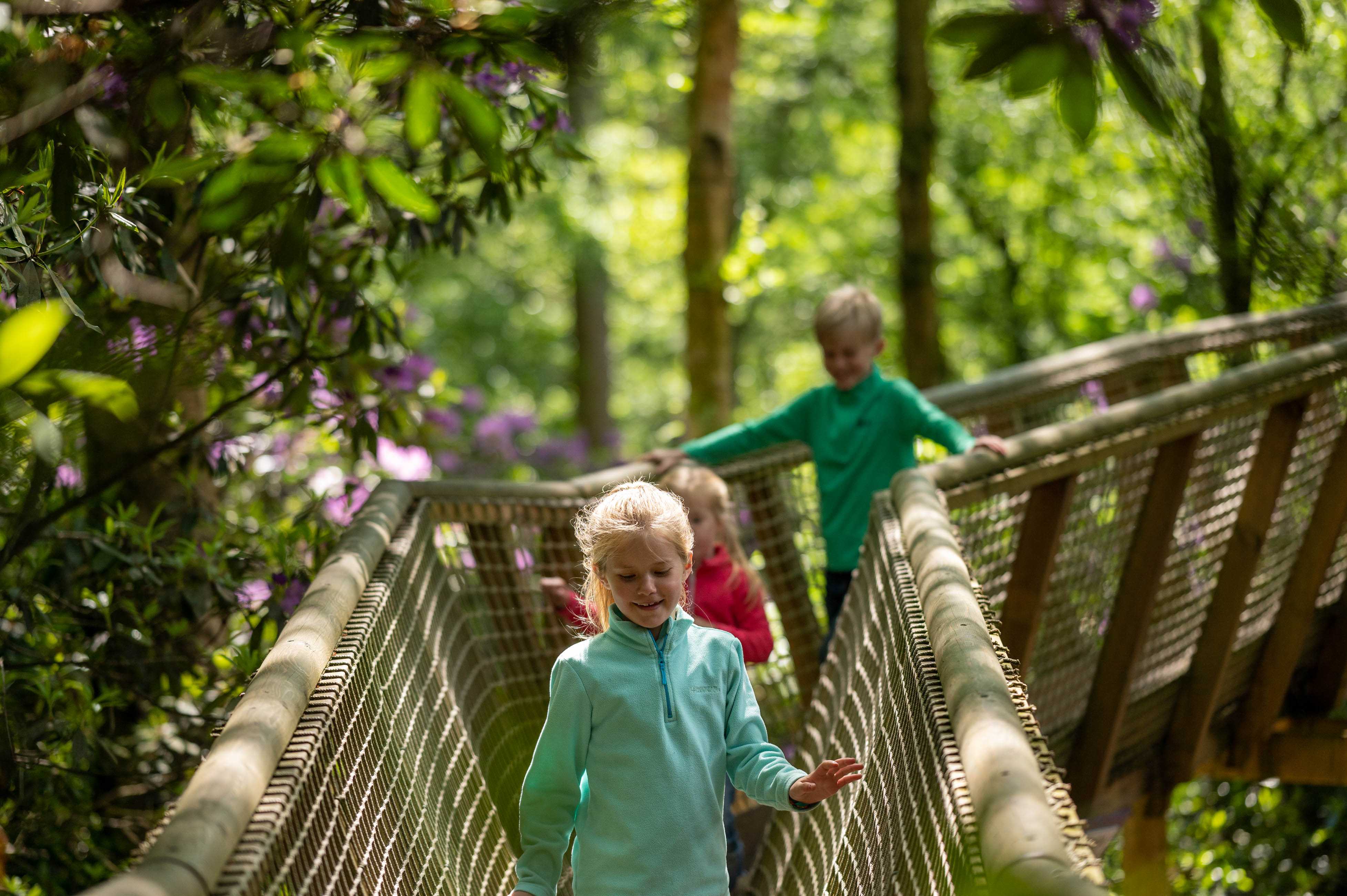 Children walking along wooden bridge at bewilderwood