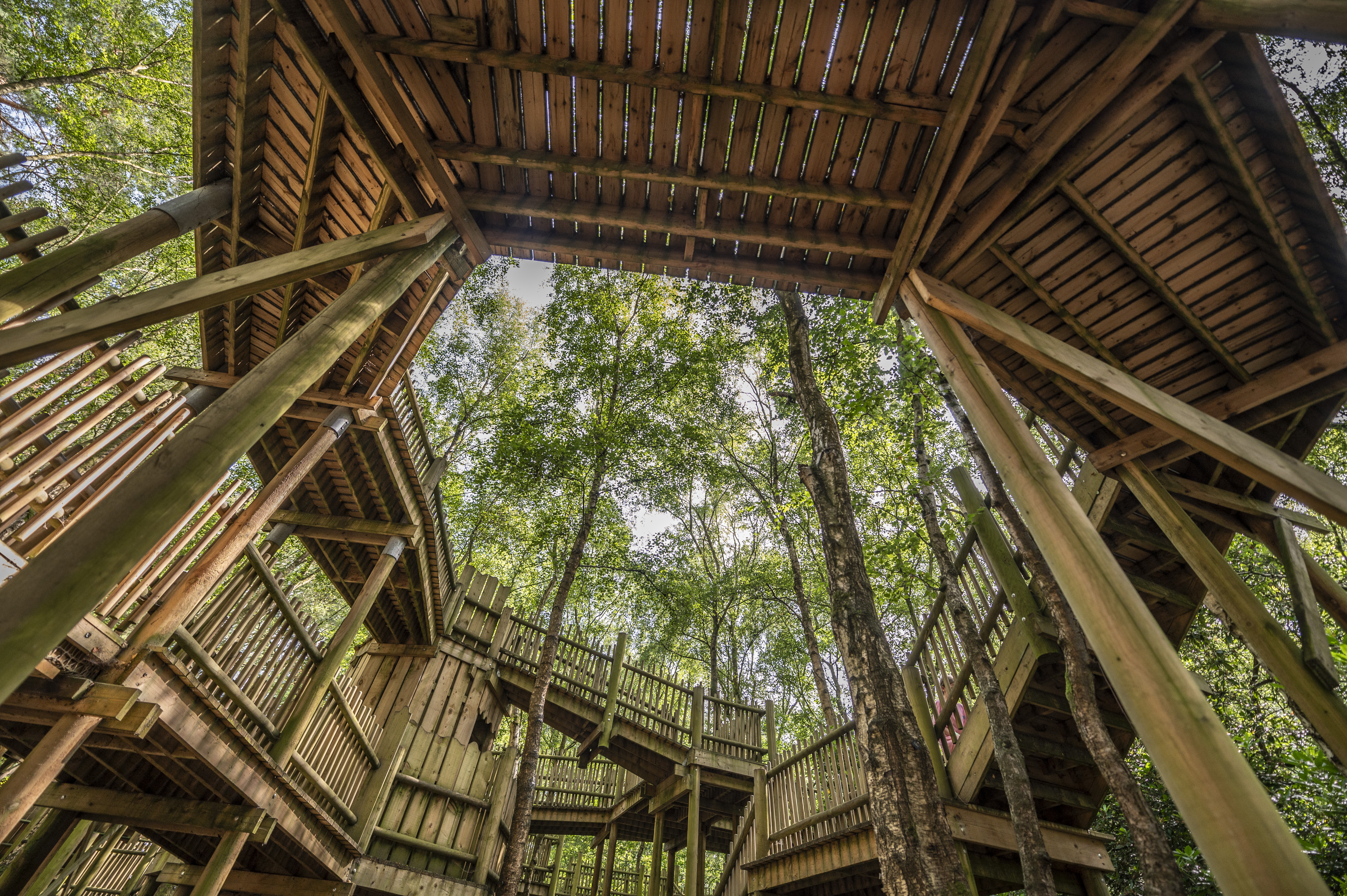 A tall structure amongst trees.