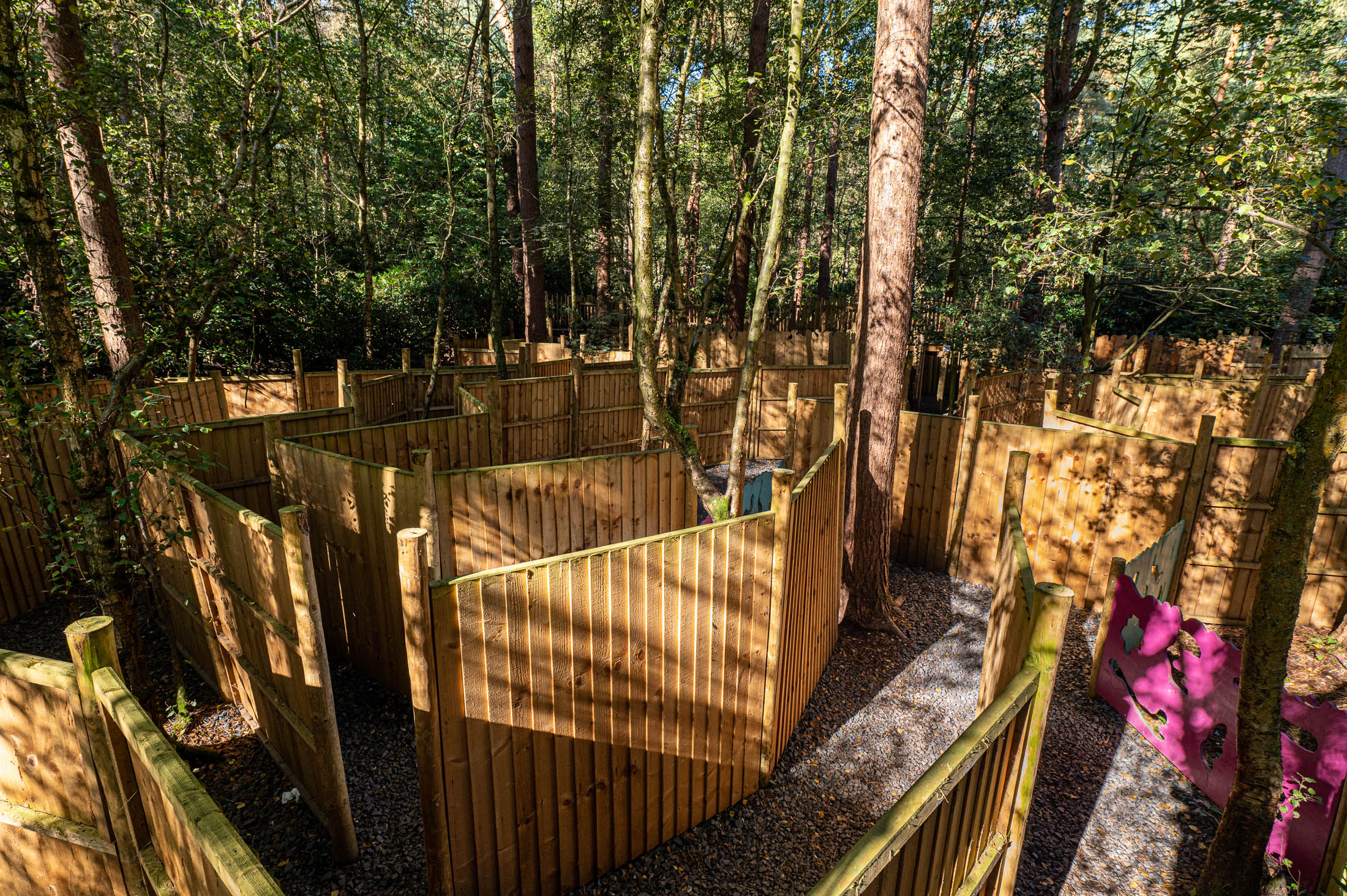 Wooden maze at Bewilderwood cheshire
